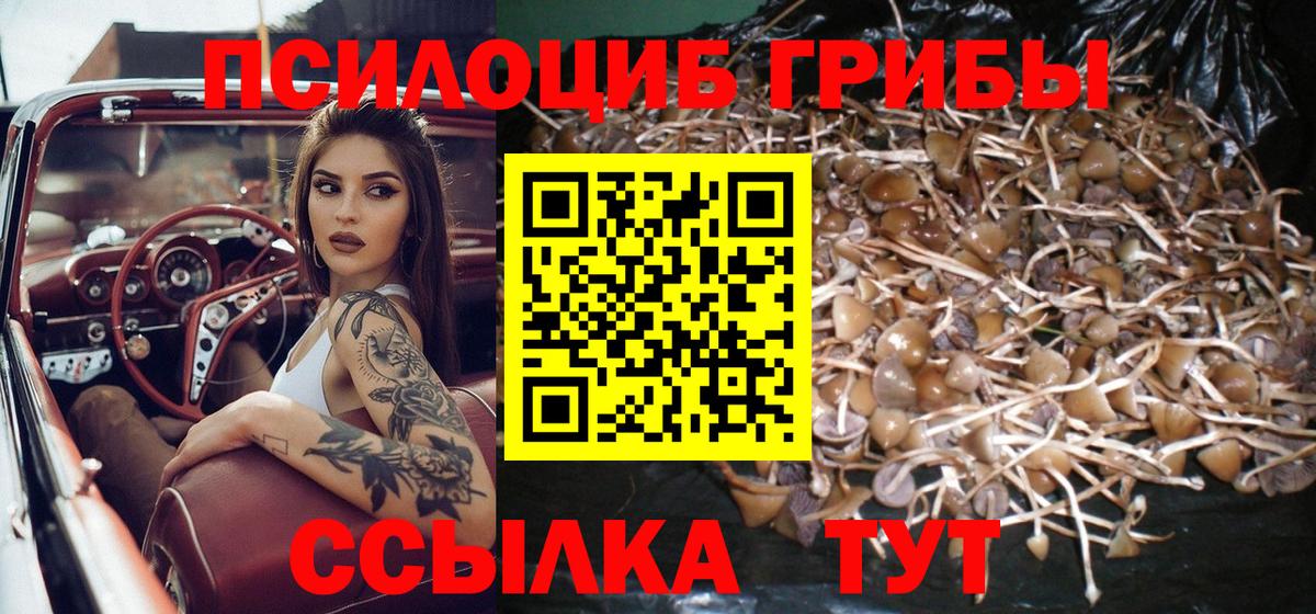 Партизанск  Конопля  Вход с VPN  Гашиш  Меф МЯУ МЯУ  